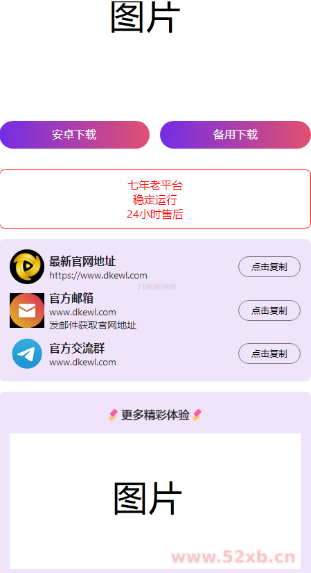 2024首发最火的软件宣传单页源码