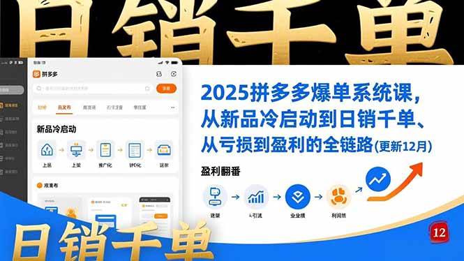 （16894期）2025拼多多爆单系统课，从新品冷启动到日销千单、从亏损到盈利的全链路（更新12月）