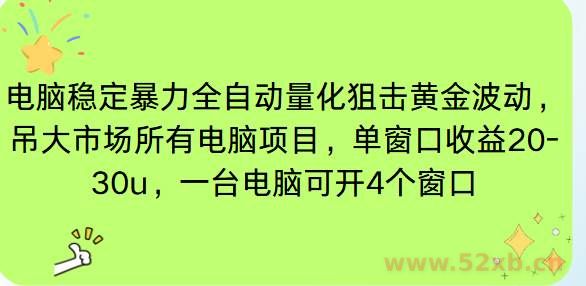 （16737期）电脑EA策略挂机项目单窗口收益20-30u，单电脑可挂5-10个窗口收益稳健4位数
