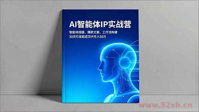 （16689期）AI智能体IP实战营，智能体搭建、爆款文案、工作流构建，30天打造高成交IP月入50万