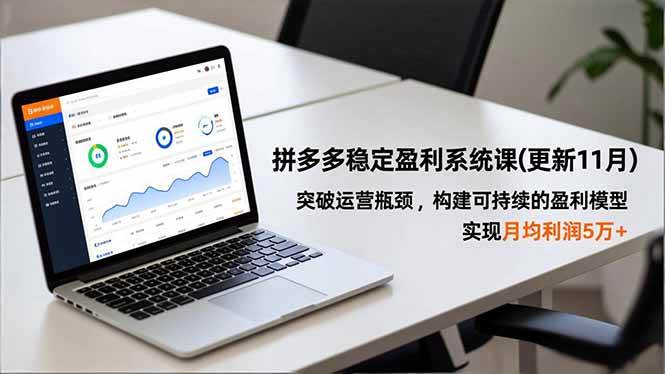 （16641期）拼多多稳定盈利系统课(更新11月)，突破运营瓶颈，构建可持续的盈利模型，实现月均利润5万+