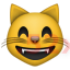 :smile_cat: