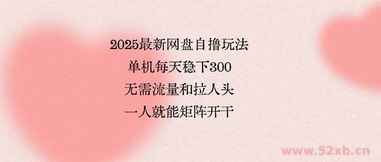 （15831期）2025最新网盘自撸玩法，单机每天稳下3张，无需流量和拉人头，一个人就…