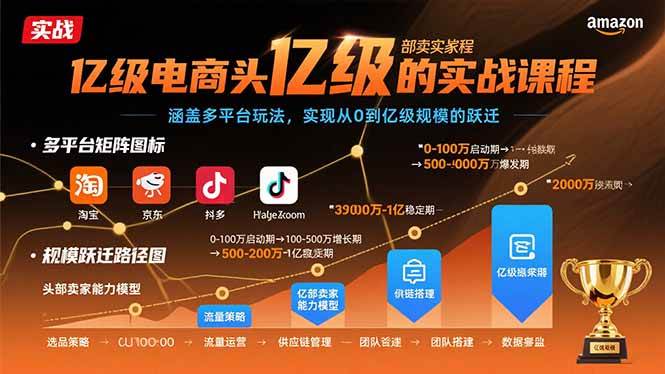 （15803期）亿级电商头部卖家的实战课程：涵盖多平台玩法，实现从0到亿级规模的跃迁