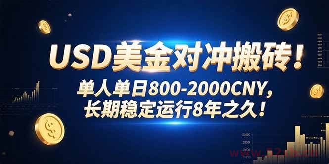 （15551期）USD美金对冲搬砖!单人单日800-2000CNY，长期稳定运行8年之久!
