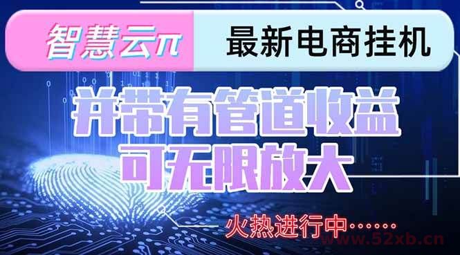 （15314期）智慧云π电脑挂机单机每天收益300—500+ 并带有团队管道收益 可无限放大