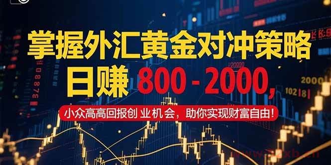 （15198期）掌握外汇黄金对冲策略，日赚 800 – 2000，小众高回报创业机会，助你实…