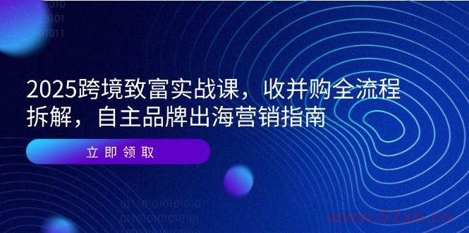 （14975期）2025跨境致富实战课，收并购全流程拆解，自主品牌出海营销指南