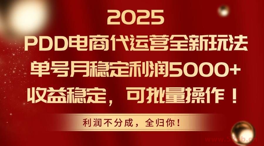 （14839期）2025PDD电商代运营全新玩法，单号月稳定利润5000+，收益稳定，可批量操作