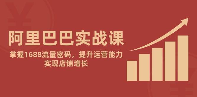 （14830期）阿里巴巴实战课：掌握1688流量密码，提升运营能力，实现店铺增长
