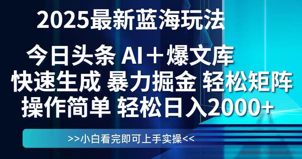 （14805期）今日头条2025最新蓝海玩法，思路简单，复制粘贴，轻松实现矩阵日入2000+