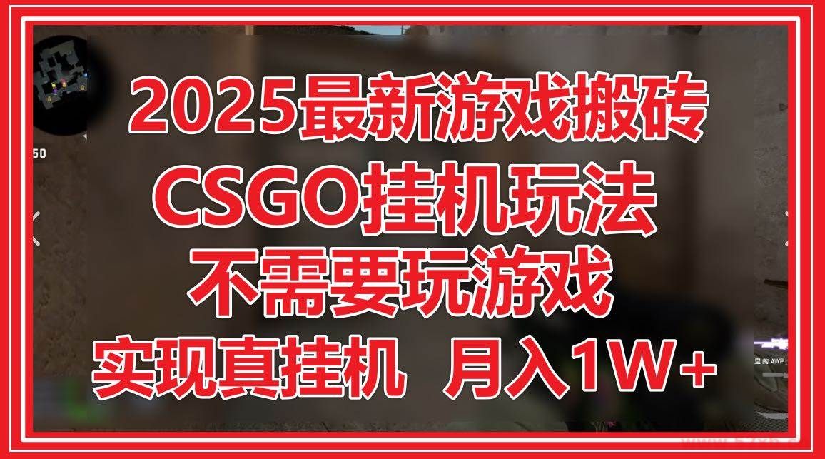（14743期）2025最新游戏搬砖，CSGO挂机，不需要玩游戏，实现真挂机，月入1W+