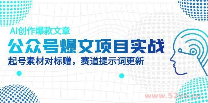 （14709期）公众号爆文项目实战，AI创作爆款文章，起号素材对标赠（附赛道AI提示词）