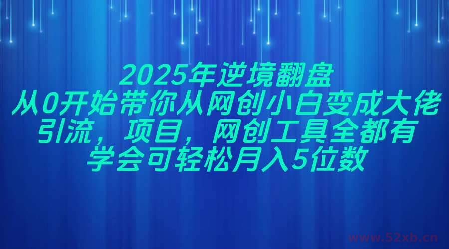 （14473期）2025年逆境翻盘，从0开始带你从网创小白变成大佬，引流，项目，网创工…