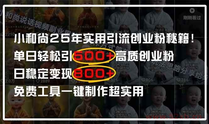 （14436期）小和尚2025年实用引流秘籍！单日轻松引500+高质量创业粉，日变现800+，…