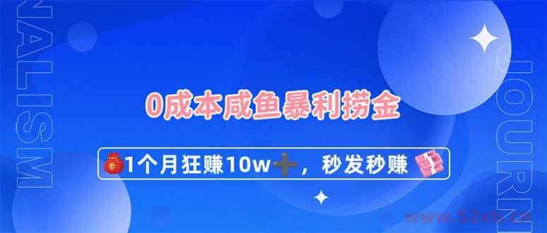 （14257期）0成本闲鱼暴利捞金，1个月狂赚10W+，秒发秒赚新玩法