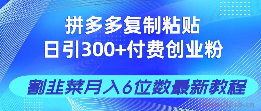 （14232期）拼多多复制粘贴日引300+付费创业粉，割韭菜月入6位数最新教程！