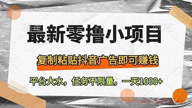 （14230期）最新零撸小项目，复制粘贴抖音广告即可赚钱，平台大水，任务不限量，一…