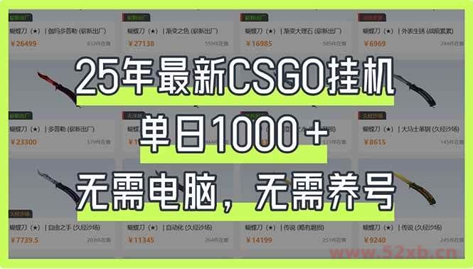 （14178期）25年最新CSGO挂机系统，单日1000+，无需电脑，无需养号，0基础可上手