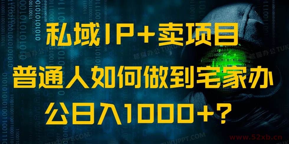 （14400期）私域IP+卖项目，普通人如何做到宅家办公实现日入1000+