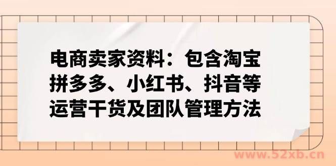 （14354期）电商卖家资料：包含淘宝、拼多多、小红书、抖音等运营干货及团队管理方法