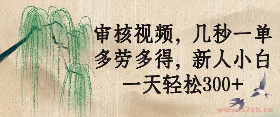 （14202期）审核视频，几秒一单，多劳多得，新人小白一天轻松300+