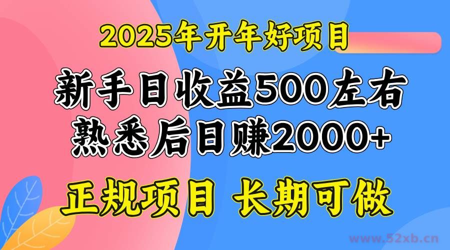 （14076期）2025开年好项目，单号日收益2000左右