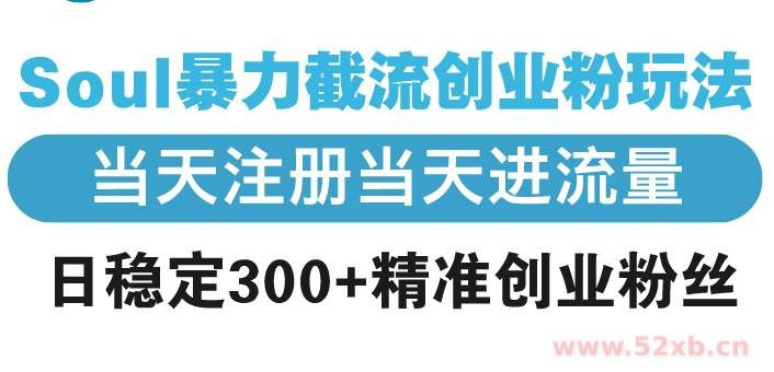 （13935期）Soul暴力截流创业粉玩法，当天注册当天进流量，日稳定300+精准创业粉丝