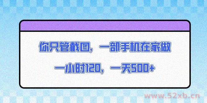 （13785期）你只管截图，一部手机在家做，一小时120，一天500+