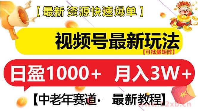 （13530期）视频号最新玩法 中老年赛道 月入3W+