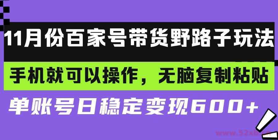 （13281期）百家号带货野路子玩法 手机就可以操作，无脑复制粘贴 单账号日稳定变现…