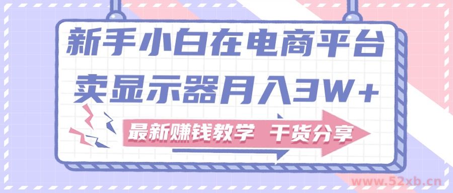 （11053期）新手小白如何做到在电商平台卖显示器月入3W+，最新赚钱教学干货分享