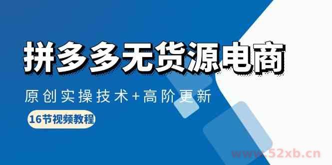 （10015期）拼多多无货源电商，原创实操技术+高阶更新（16节视频教程）