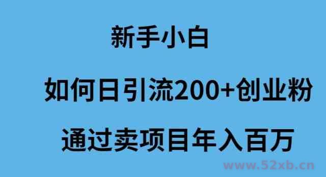 （9668期）新手小白如何日引流200+创业粉通过卖项目年入百万