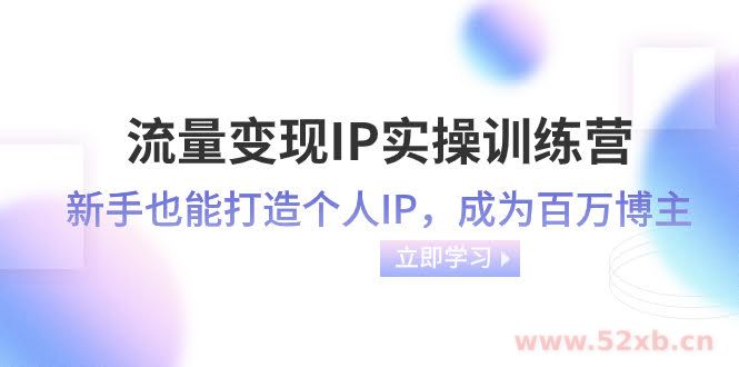 （8134期）流量变现-IP实操训练营：新手也能打造个人IP，成为百万 博主（46节课）