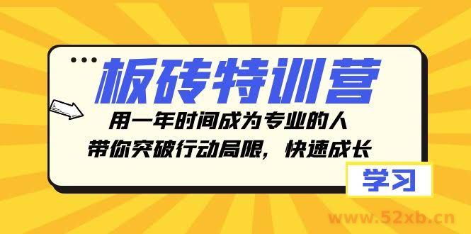 （8048期）板砖特训营，用一年时间成为专业的人，带你突破行动局限，快速成长