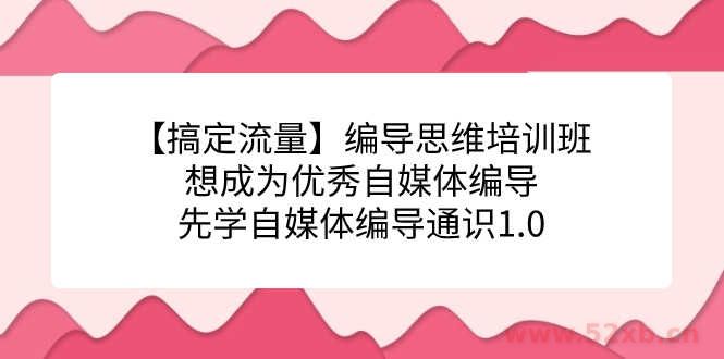 （7281期）【搞定流量】编导思维培训班，想成为优秀自媒体编导先学自媒体编导通识1.0
