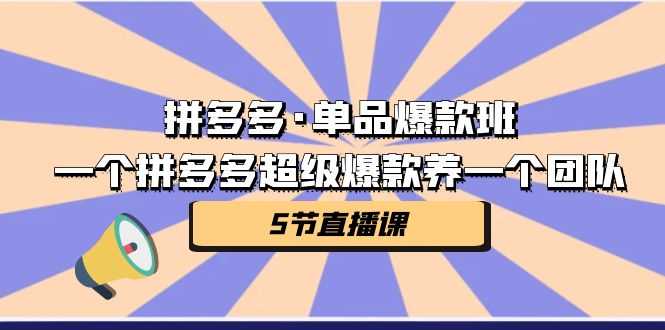 （7019期）拼多多·单品爆款班，一个拼多多超级爆款养一个团队（5节直播课）