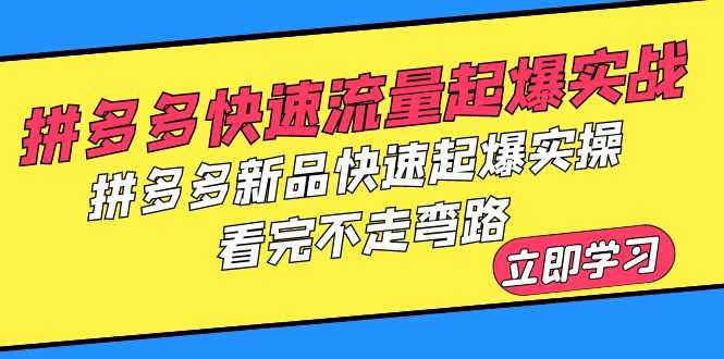 （6253期）拼多多-快速流量起爆实战，拼多多新品快速起爆实操，看完不走弯路
