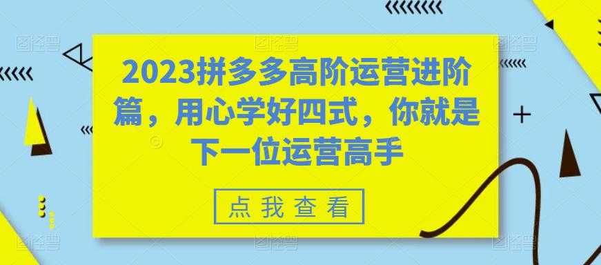 （6193期）2023拼多多高阶运营进阶篇，用心学好四式，你就是下一位运营高手