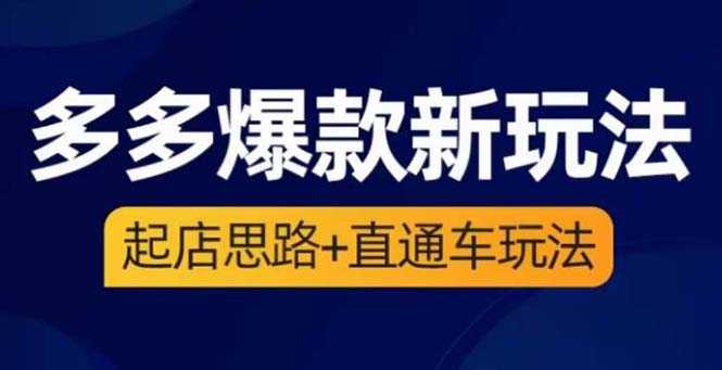 （6028期）2023拼多多爆款·新玩法：起店思路+直通车玩法（3节精华课）