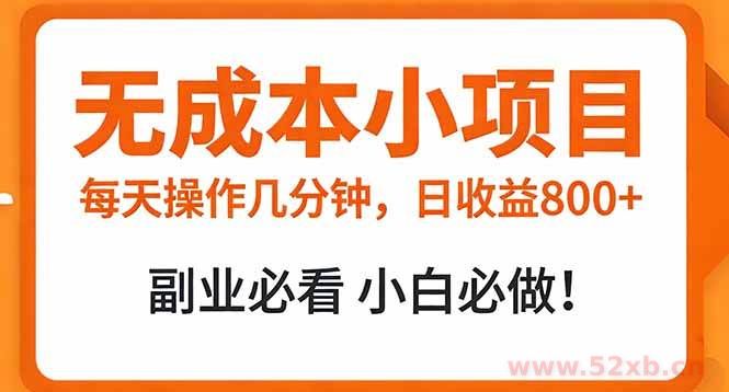 （17307期）无成本小项目 每天操作几分钟，真实日收益800+ 副业必看 小白必做！